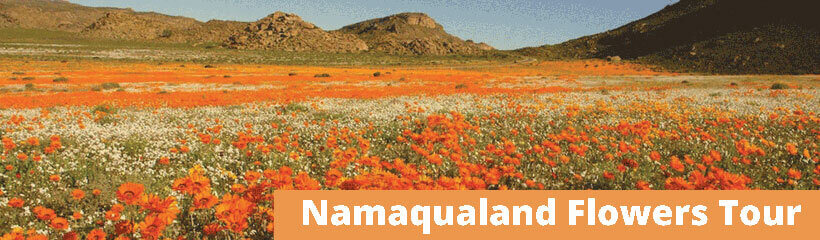 Namaqualand Tours